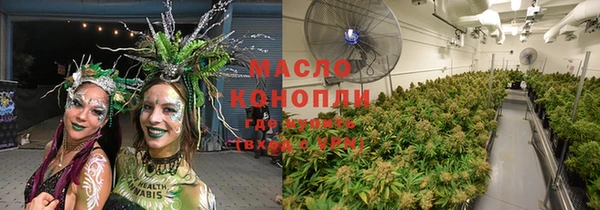 амф Алексин